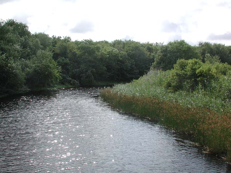 River at Dwyer Farm 6.jpg 82.4K